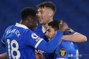 金年会中国官网-布莱顿训练开放日，清晨迎来里程碑引欢呼，意甲在即，细节决定成败