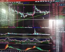 纽卡斯尔对狼队