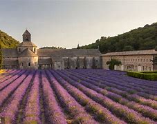 法国杯倒计时，纽约尼克斯清晨主帅复盘，细节引发关注，气氛紧张，赛季目标并未改变